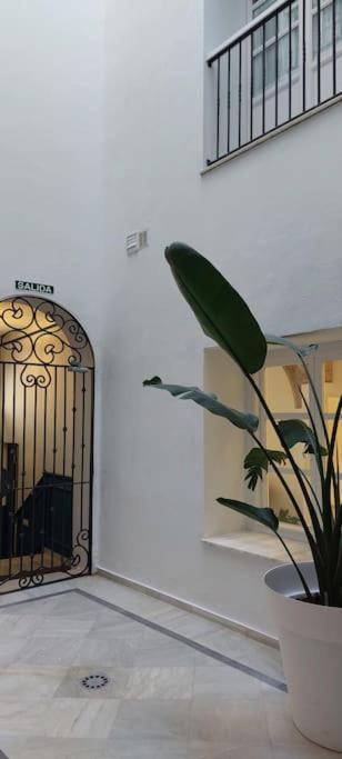 El 2 De Flamenco Bajoa Apartment Cadiz Exterior photo